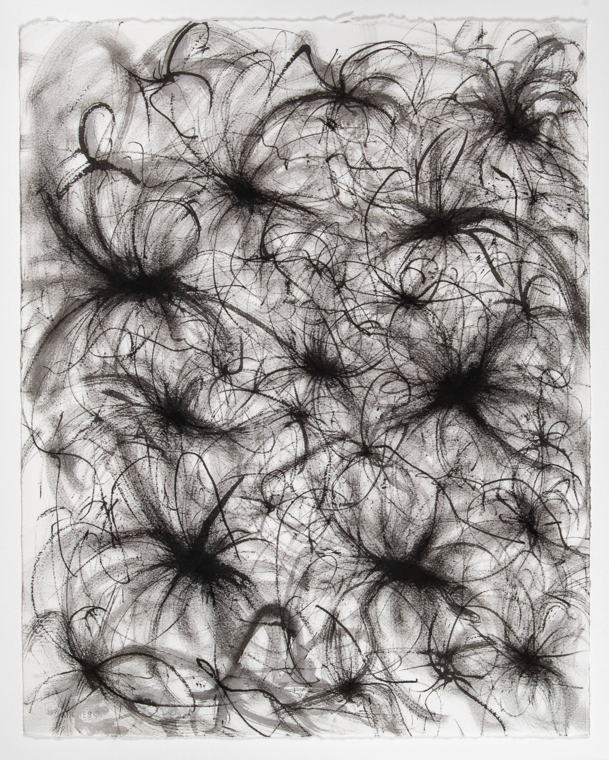 Abstract black and white charcoal drawing with starburst or firework like shapes.